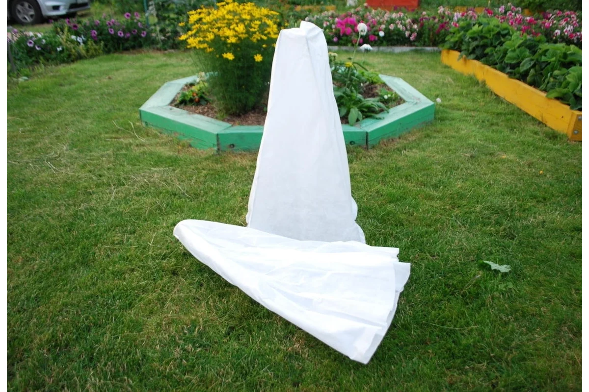 Die Alten dachten vor jedem Winter darüber nach: über die kleine Klammer, die alles verändert, wenn sie gefriert.