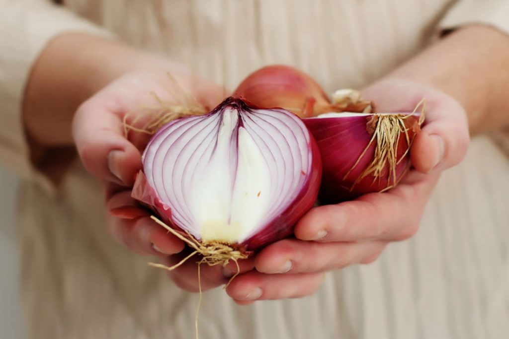 Reiben von Zwiebeln auf Küchenarbeitsplatten: Warum ist das notwendig und warum wird es empfohlen?