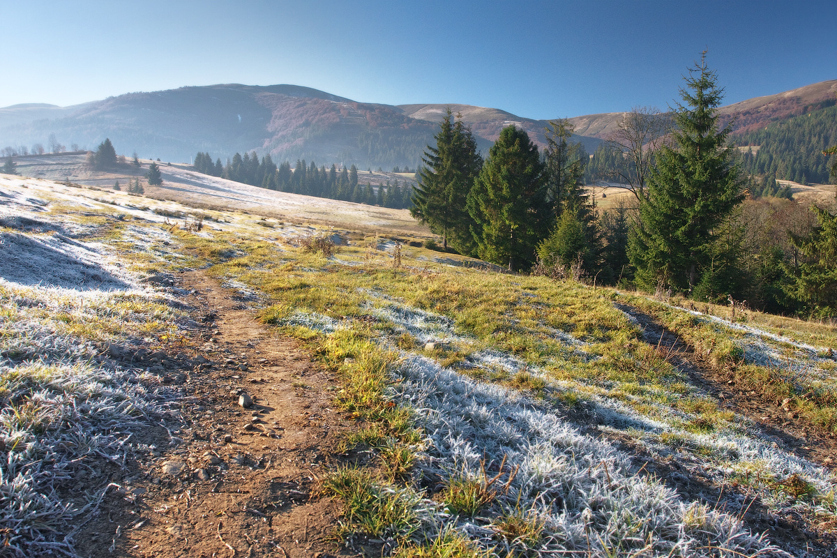 Die Alten haben es getan: Muss man den Boden immer im Dezember umgraben? 30