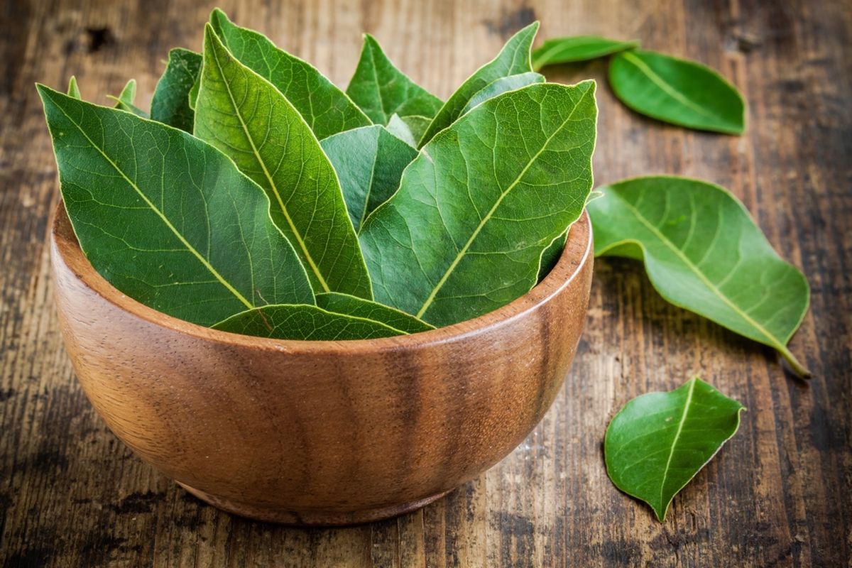 Placing a bay leaf at the entrance to your home: why it is necessary and why it is recommended