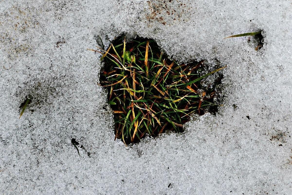 Die Alten haben es getan: Muss man den Boden immer im Dezember umgraben? 878be2190e6b24c86b43726cbc2da1cd