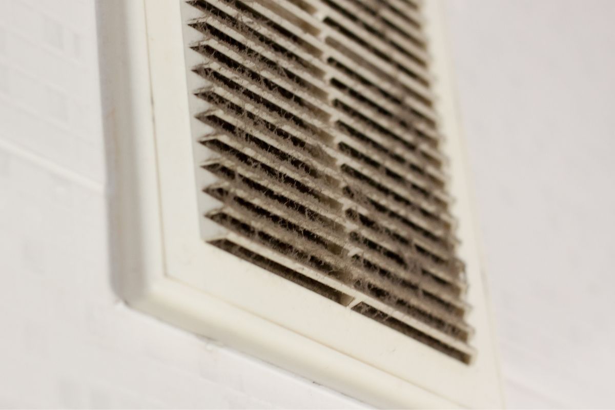 Reiben von Zwiebeln auf Küchenarbeitsplatten: Warum ist das notwendig und warum wird es empfohlen?