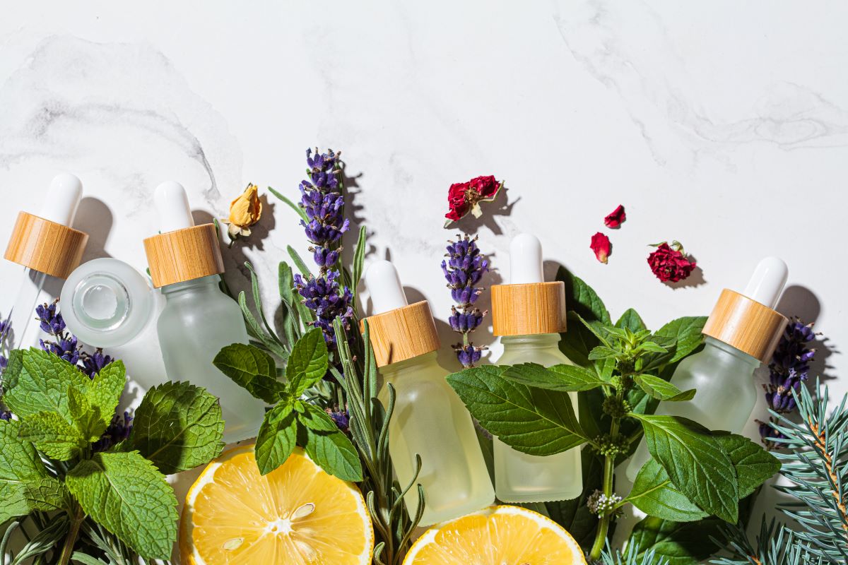 Ein Blatt reicht aus: So werden Sie Mäuse und Ratten im Winter los.