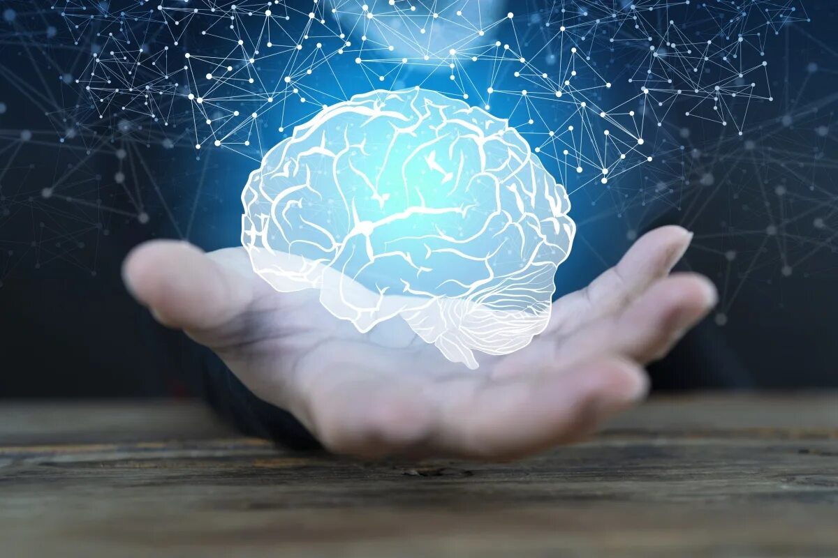 Hier sind 5 Gewohnheiten, die laut Neurobiologie helfen, das Gedächtnis zu verbessern