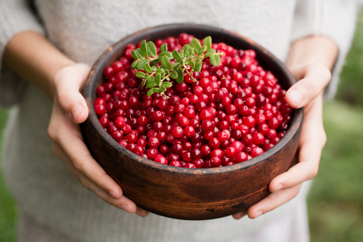 Eine Beere pro Tag – und die Leberenzyme sinken von selbst.