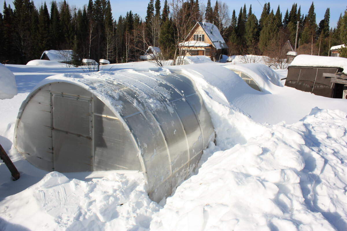Die häufigsten Fehler von Gärtnern, die zu einer schnellen Zerstörung von Gewächshäusern aus Polycarbonat führen Gewächshäuser aus Polycarbonat