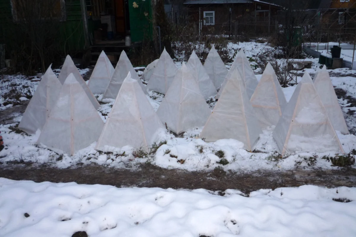 Die Alten dachten vor jedem Winter darüber nach: über die kleine Klammer, die alles verändert, wenn sie gefriert.