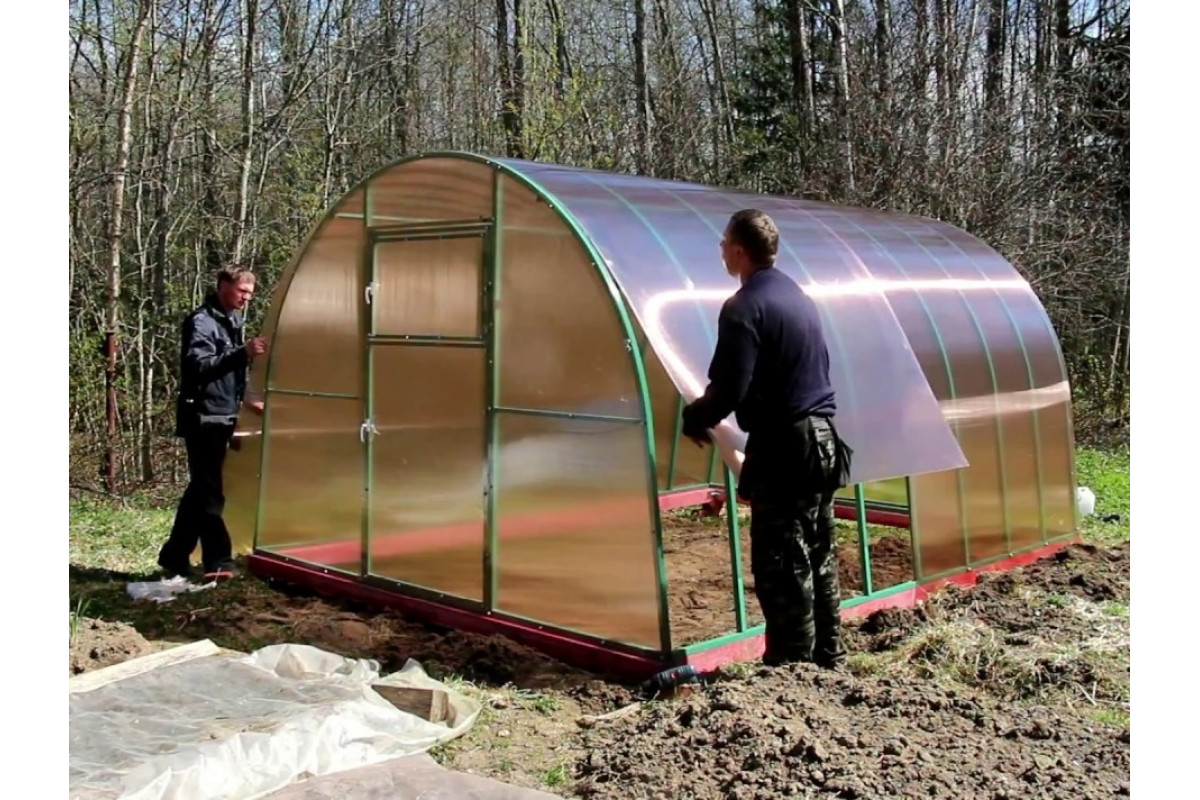 Die häufigsten Fehler von Gärtnern, die zu einer schnellen Zerstörung von Gewächshäusern aus Polycarbonat führen Gewächshäuser aus Polycarbonat